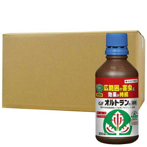 GFIgt 300ml E KINCHO|