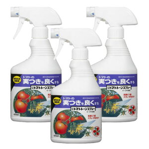 Yg}gg[Xv[ 420ml×3{ _ A yK[fjO | 엿z