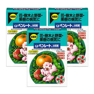 |pEۍ GFx[ga (0.5g×10ܓ)×3 DFѕa ǂ񂱕a ۊja KINCHO|