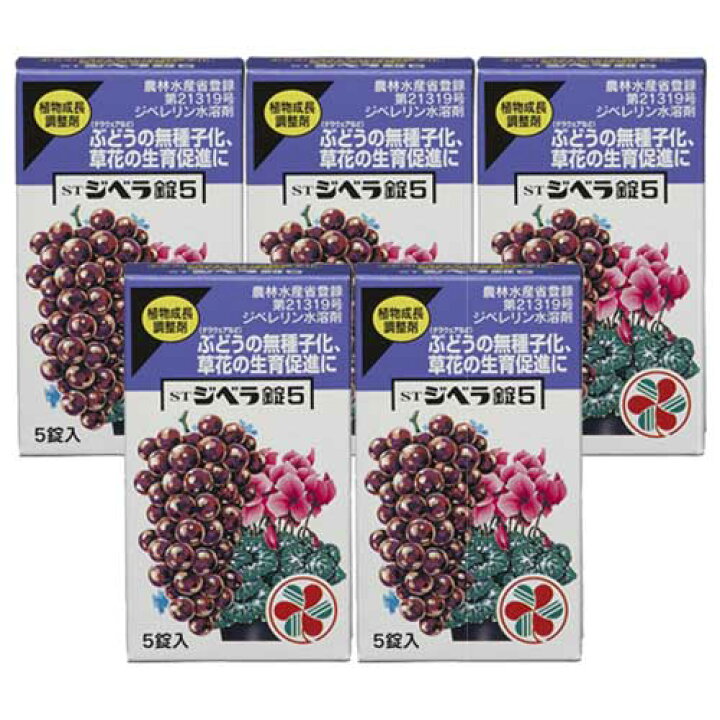 住友化学園芸 ルートン 15g 60箱 ケース 農薬さし木の発根促進剤