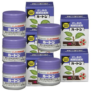 �엿 �A������������ ���[�g�� 15g��×5�� �_�� �K�[�f�j���O ���| �������i�� KINCHO���|