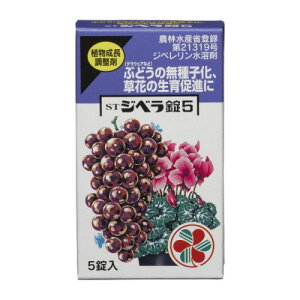 STWx5 5 y䂤pPbgΉz A Ԃǂ т Jԑi  瑣i Li ԉ蕪̗}