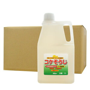 RP쏜 RP ƖpZkt 2L×4{ _knp