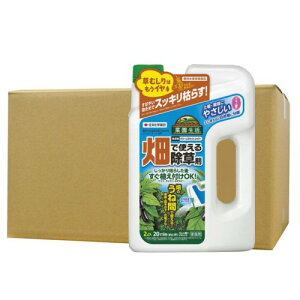  O[XLbgV[ 2L _ ̂ˊ ʎ ؂̉ Ԓd KINCHO|