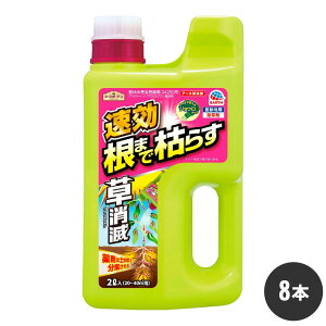 A[XK[f A[X 2L×8{ _ _knp  P[X̔