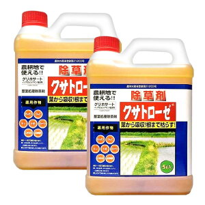  NTg[[ 5L×2{ _ G  _knp j[t@