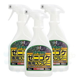 RP쏜 RP [jSPpXv[ 500ml×3{ _knp