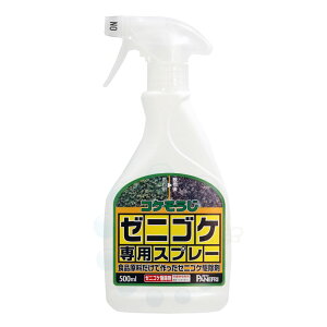 RP쏜 RP [jSPpXv[ 500ml _knp