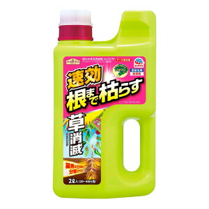 A[XK[f A[X 2L _ _knp 