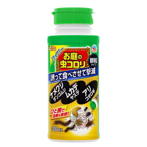 iNW J^c _SV WV Xf RIM Jf쏜 A[XK[f nCp[̒R 300g