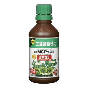 ���|�p�E���� �ƒ뉀�|�p ���YMCP�\�[�_�� 300g �_�� �L�t�G���ގ� �Ő� KINCHO���|