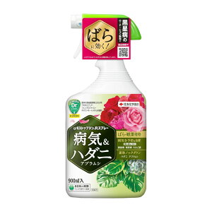 EEۍ GFXgbvWRXv[ 900ml _ AuV n_j a ǂ񂱕a a KINCHO|