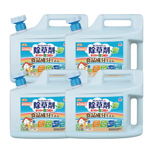 A[XK[f ̑R 4.5L y_knpz A[X