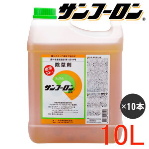  Tt[ t 10L×10{ _ OzT[g yz