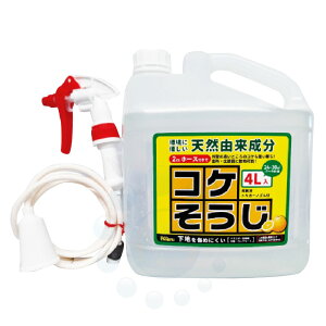 RP쏜 RP ߉t gK[mYt 4L _knp