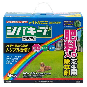 VoL[vvXV 4kg _ Ő 엿  G ͂炷 \h  C{[i