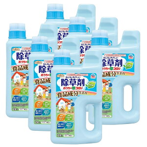 A[XK[f ̑R 2L×6{ _knp 