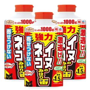 A[XK[f Ck lR݂̂͂ 1000g×3{  L