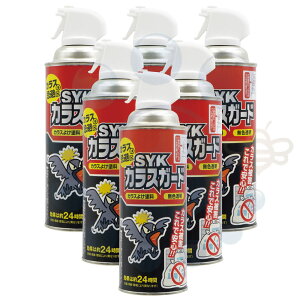 JX΍ SYKJXK[h 420ml×6{ 悯 G hXv[ ؖH