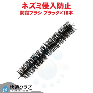 lY~΍puV hluV ubN×10{ huV lY~Nh~ lY~悯 