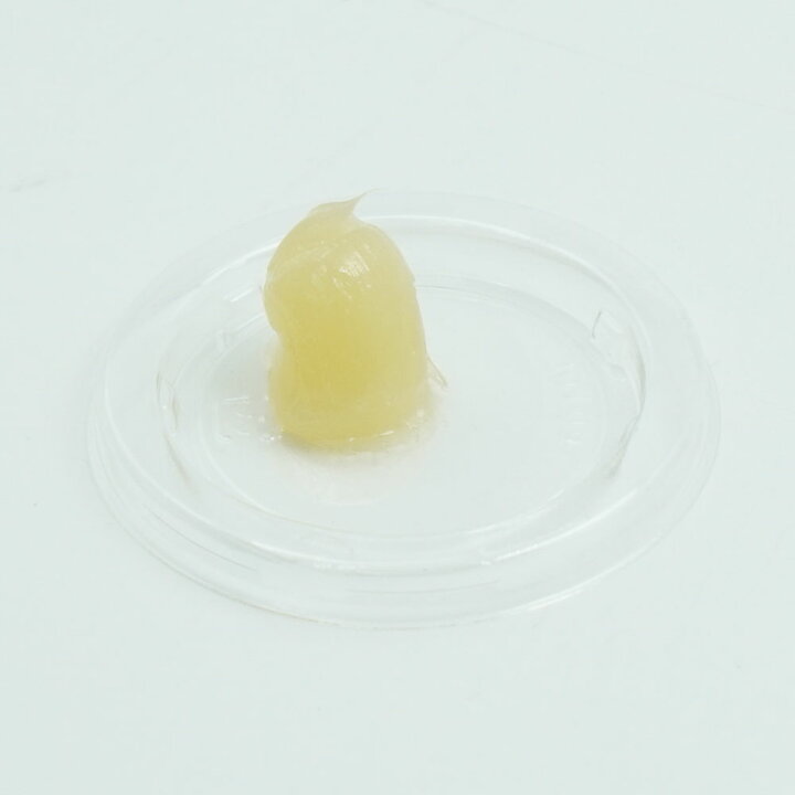 市場 バードクリンジェル イカリ消毒 西新オレンジストア 0g