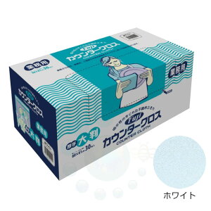 tW JE^[NX 唻 zCg 30 Ɩp sDzӂ