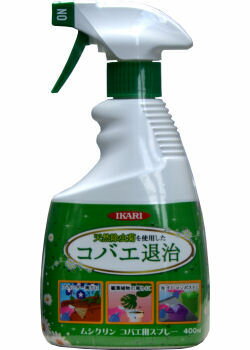 楽天市場 タカラダニ駆除 ムシクリン コバエ用スプレー 400mlチョウバエ ノミバエ ショウジョウバエ キノコバエ退治 北海道 沖縄 離島配送不可 快適クラブ 楽天市場店