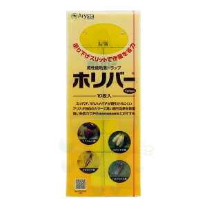 RiW~ AuV ߊl \Sgbv zo[CG[ 10 y䂤pPbgΉz ߒ rj[nEX Sߒ