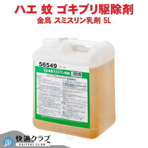 nG ᐬ SLu쏜  X~X 5L i܁j yhp򕔊OizysXChnE܁z