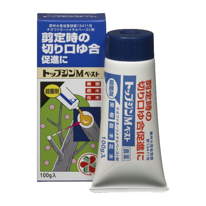 住友化学園芸 トップジンM ペースト 100g 花木 野菜 果樹 予防 治療 快適クラブ BENZA オリーブペースト