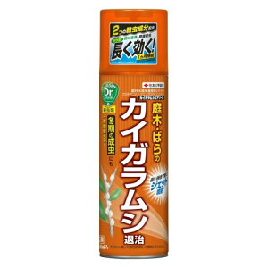 JCKV ގ 쏜  JCKVGA][ 480ml  ΂ ZFw|