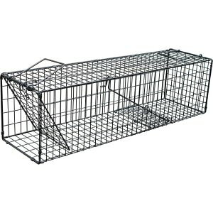 イタチ タイワンリス捕獲 スーパー捕獲器(L)ブラック 小動物捕獲器