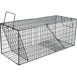 ߊlX[p[ߊliLLjubN C^` ^CX k[gA ACO}ߊlyz