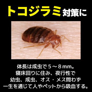 楽天市場 トコジラミ 南京虫 駆除スプレー コックローチpa 450ml 15本 マダニ退治 第2類医薬品 北海道 沖縄 離島配送不可 快適クラブ 楽天市場店