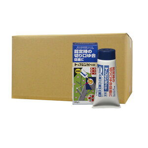 Eۍ gbvWM y[Xg 100g Ԗ  ʎ \h  KINCHO|