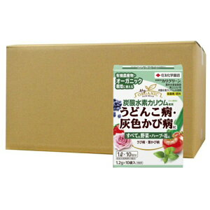 |pEۍ JO[ (1.2g×10ܓ)×10 ǂ񂱕a DFѕa ϗt  ʎ  KINCHO|