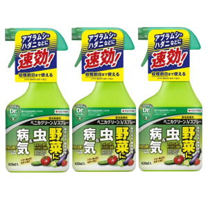 EEۍ xjJO[VXv[ 420ml×3{  Q aC AuV n_j h KINCHO|