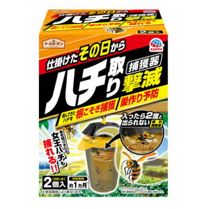 n`ߊl A[XK[f n`茂 ߊl^Cv 2 n`쏜