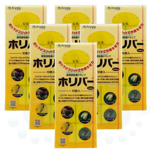 RiW~ AuV ߊl \Sgbv zo[CG[ 10×6 y䂤pPbgΉz rj[nEX Sߒ