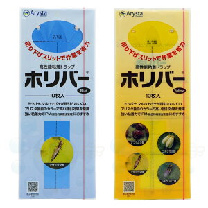 RiW~ AuV AU~E} ߊl \Sgbv zo[CG[ u[Zbg e10 rj[nEX Sߒ