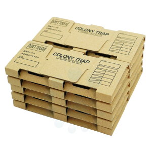 SLup gbv Rj[gbv 10 SLu  `olSLu 쏜 KIUgbv