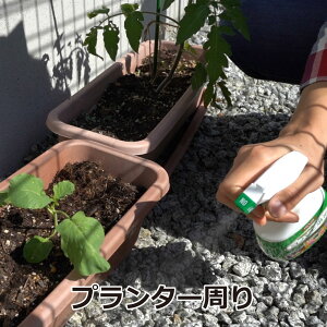 楽天市場 タカラダニ対策 コバエ駆除 ムシクリン コバエ用スプレー 400ml 24本 ノミバエ ショウジョウバエ キノコバエ退治 北海道 沖縄 離島配送不可 快適クラブ 楽天市場店