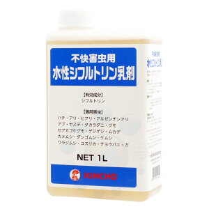  sQp Vtg 1L JV N n` a Jf QW