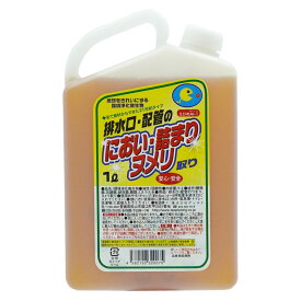 排水口 ニオイ 詰まり えひめAI-1 K 配管ヌメリ取り 1L