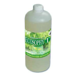 GR\tBT mAJn 1L m^ړIN[i[n