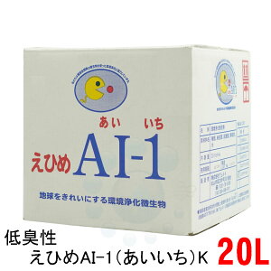 Ђai L ЂAI-1  K 20L RbNt b̏i y _ [   L yz