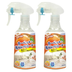 EGL X[p[IW J[ybgƕzĩN[i[ 250ml×2{ J[e  Ԃpi ybgpi xr[J[