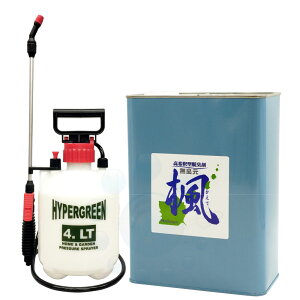 ߌ^ Ɩp L L  4L {  4L Zbg EL L΍ ΍  u₩ȍ yz