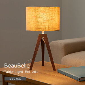 e[uCg 1 EXF-001 e[uv tACg ԐڏƖ Q  Vv CeA Ɩ k LED Ɩ Ɩ 킢 xbhTCh dC xbh[