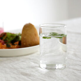 BOROSIL VISION GLASS M【ボロシル 295ml 直火ガラス 直火 グラス コップ カップ 耐熱ガラス 耐熱 電子レンジ オーブン 食洗機 アイスティー 紅茶 ティー デザート シンプル クリア おしゃれ かわいい 植物 水栽培 誕生日プレゼント ギフト 父の日 実用的】